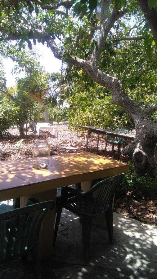 Casa Los Mangos Villa Tijarafe Ngoại thất bức ảnh